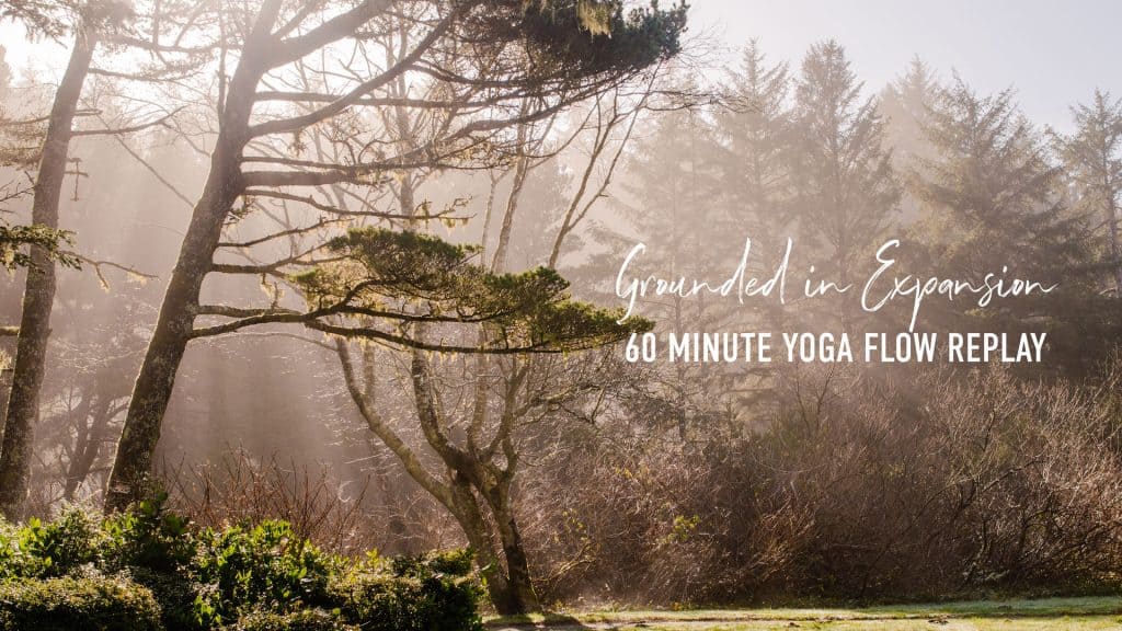 "grounded in expansion 60 minute yoga flow replay" fog cutting through trees
