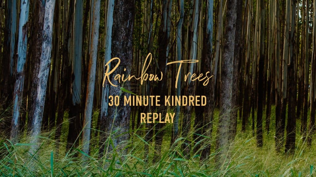 "rainbow tree 30 minute kindred replay" view of eucalyptus tees