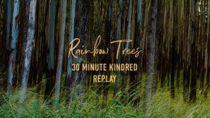 "rainbow tree 30 minute kindred replay" view of eucalyptus tees