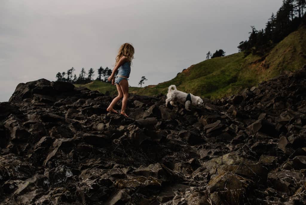little girl and dog on a rock at ab beach "friendship within class 2 kindred 60 minute meditation"