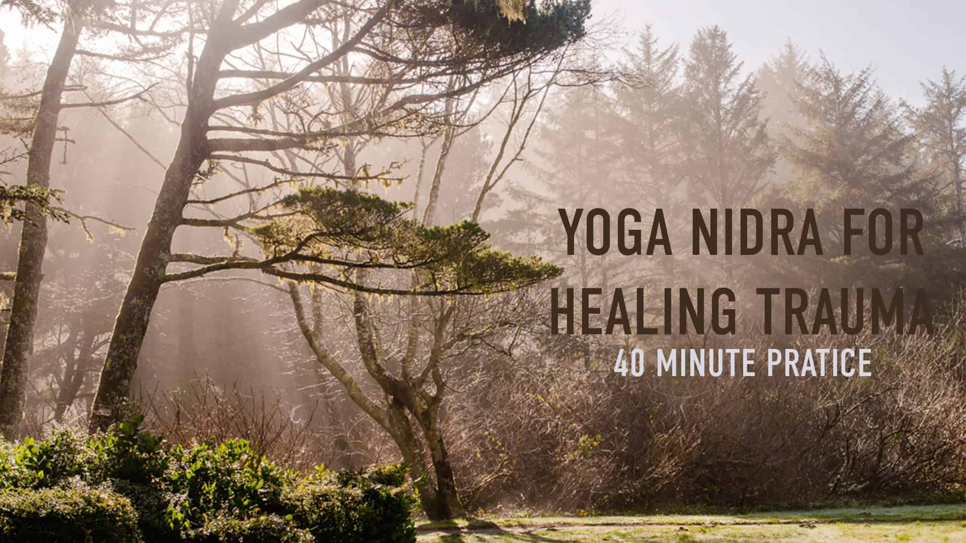 yoga nidra for healing trauma 40 minute practice view of tress and fog