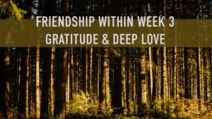 "friendship within week 3 gratitude and deep love" view of trees being light sideways by the sun in a dense forest