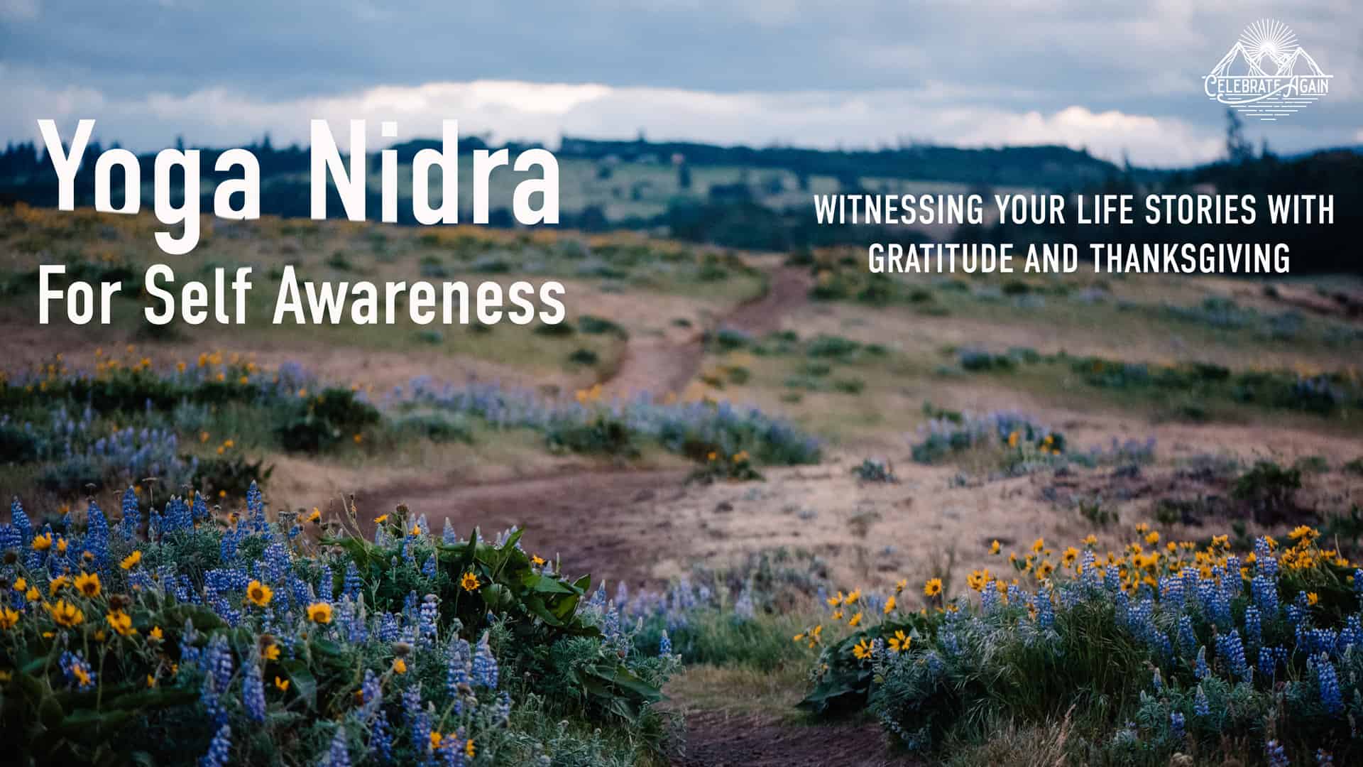 "Yoga Nidra for self awareness Witnessing your life stories with gratitude and thanksgiving" text over image of wild flowers on a trail that leads to tall trees ahead