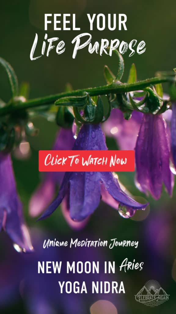 "feel your life purpose new moon in aries yoga nidra unique meditaiton journey" dew on purple flowers
