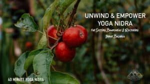 red apple on a tree with text overlaying "Unwind & Empower: Yoga Nidra for Setting Boundaries & Restoring Inner Balance 40 minutes yoga nidra"