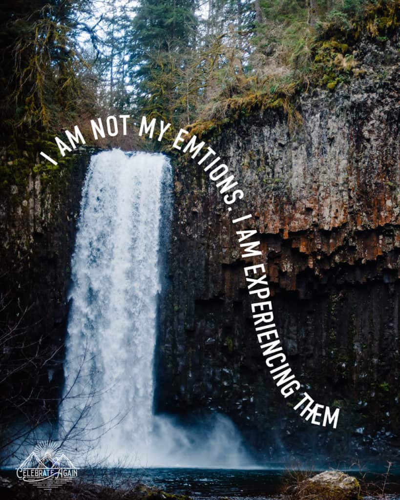 "I am not my emotions I am experiencing them" view of a waterfall