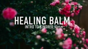 "healing balm intro to kindred replay" over a garden of pink spray roses