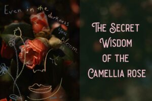 the secert wisdom of the camellia rose