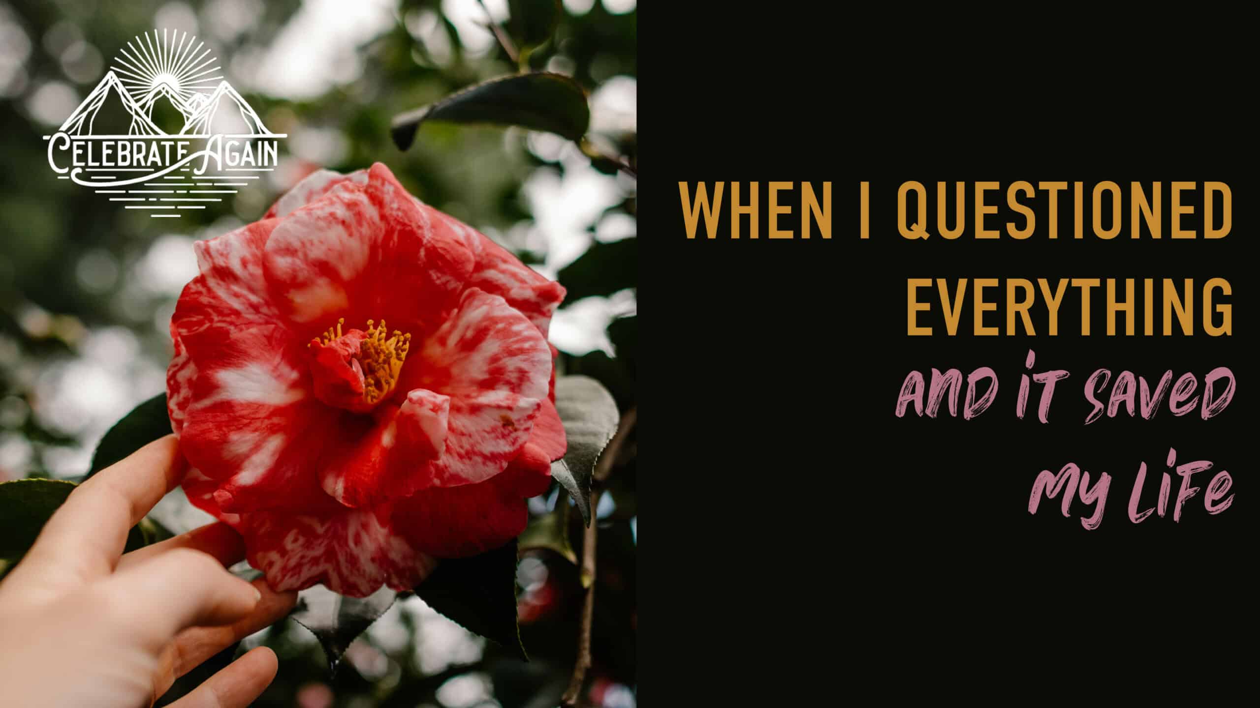 "when you question everything and it saved my life" over photo of a cameallia and hand reaching out